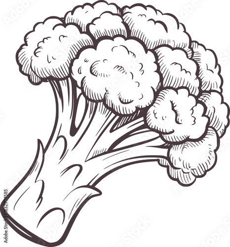 Black and white line drawing of a broccoli head vegetable