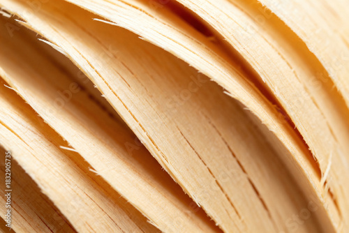 Wood Texture, Natural Pattern, Close-up, Wooden Surface, Organic Design, Craftsmanship, Material Detail