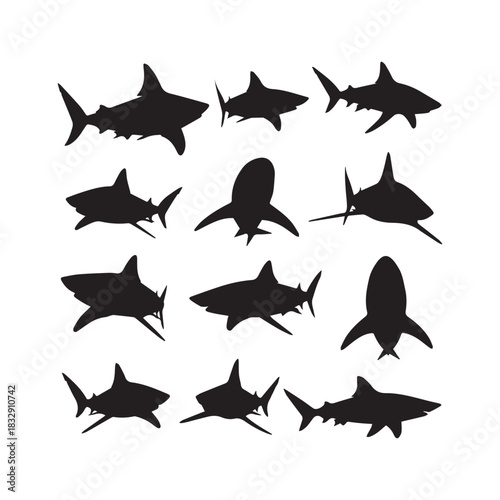 sharks silhouettes set, shark silhouette, ocean predator, marine vector, sea animal, wildlife