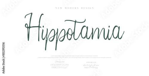 Modern elegant serif font with artistic strokes, perfect for fashion, branding, and editorial design