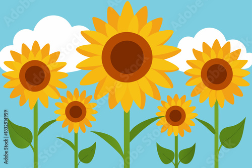 Bright yellow sunflowers bloom under a blue sky with fluffy clouds