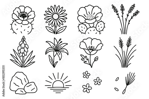 Desert Wildflower Icons. Desert Wildflowers linear icon set. cactus bloom, desert marigold, prickly pear flower, ocotillo, yucca bloom, sand lily, poppy, dry grass, rock cluster
