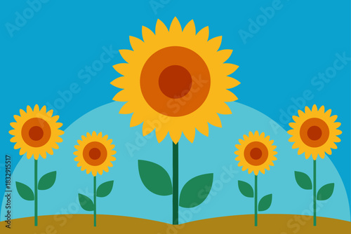 Bright yellow sunflowers growing in a field under a blue sky