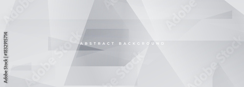 Vector abstract white and gray geometric background for bussines presentation or cover. Grey wide banner abstract pattern. Vector illustration
