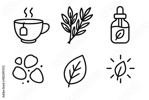 Plant-Based Wellness Icons. Plant-Based Wellness Set linear icon set: tea infusion cup, aromatic herbs, botanical oil, dried petals, soothing leaf, nature glow