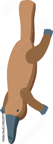 Platypus swimming underwater, diving and searching for food