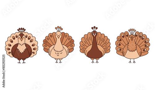 Set of four stylized cartoon peacocks with elegant feather designs