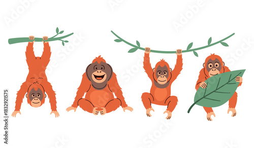 Playful orangutans hanging and playing with leaves and branches