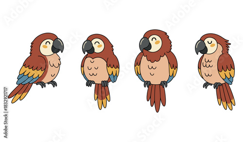 Cartoon parrots in various poses with colorful feathers on white background