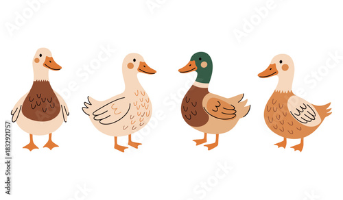 Cute cartoon ducks in various colors on white background
