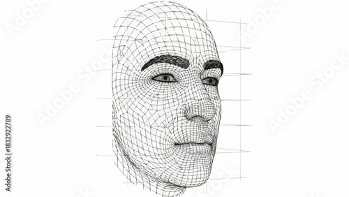 Wireframe 3D Human Face Model with Grid Lines.