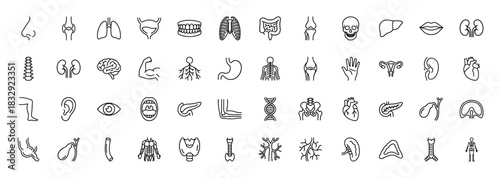 Anatomy and human body icon set. Vector pictograms of organs, skeleton, muscles, and systems, thin linear illustration.