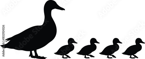 Mother Duck and Ducklings Silhouette Black and White Vector Illustration