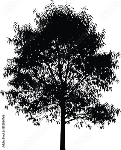 Black vector silhouette of a dense tree with slender leaves isolated on white background perfect for graphic design elements