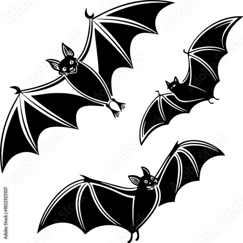 black and white bat