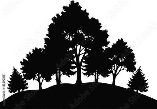 Black Tree Silhouettes on Hill Landscape Vector Illustration Forest Park Nature Scene