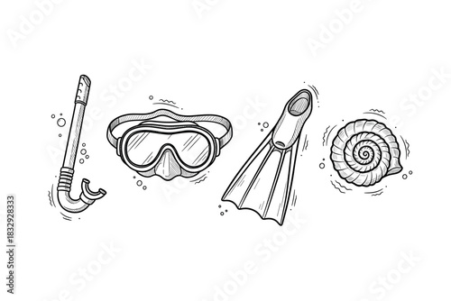 Snorkeling gear and seashell illustration: snorkel, goggles, flipper, seashell