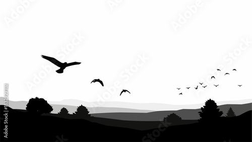 Silhouettes of a flock of birds flying in formation across the sky.