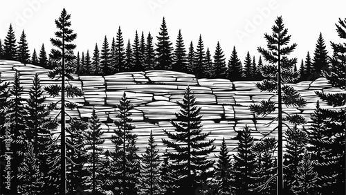 Monochrome Forest Landscape with Rocky Outcrop.