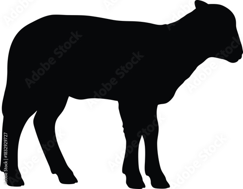 Quadro em tela Black Silhouette Vector of Standing Lamb or Sheep Isolated on White Background