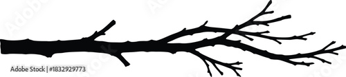 Black Silhouette of Bare Tree Branch or Twig Vector Illustration