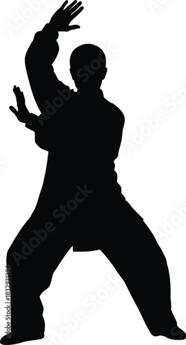 Tai Chi Martial Arts Pose Silhouette Vector Graphic