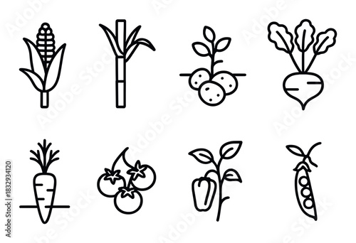 Minimalist vegetable icons set featuring corn, potatoes, beets, carrots, and more