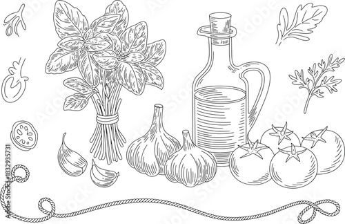 Line drawing of fresh basil tomatoes garlic and olive oil bottle with decorative elements vector
