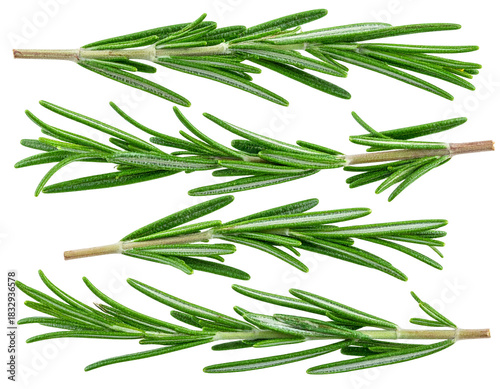 Four green rosemary sprigs arranged horizontally on black