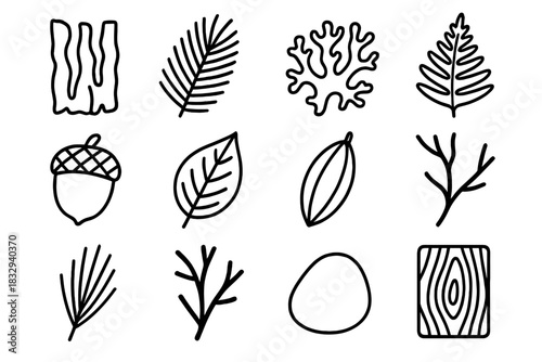 Nature Icon Set. Natural Elements linear icon set. bark, pine sprig, moss, fern, acorn, leaf, seed pod, twig, pine needle, small branch, pebble, wood grain