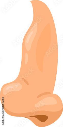 Human nose profile showing sense of smell