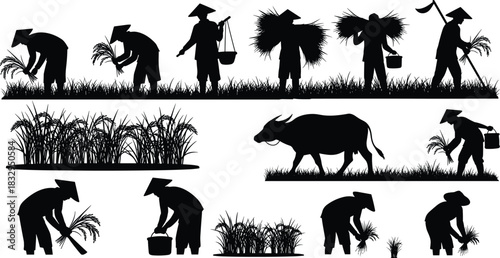 Traditional Asian Rice Farmers Working in Paddy Field Harvesting Crops and Carrying Sheaves Vector Silhouette Set, Agricultural Workers and Water Buffalo i
