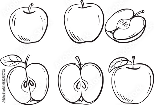 Black and white line drawings of whole and halved apples