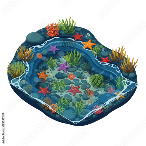 A vibrant, detailed illustration of a coastal tide pool teeming with colorful starfish, coral, and seaweed.