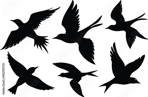 Bird flight silhouette vector set, wing position icons, black flavector shapes, avian motion study, nature theme, flying pose, white background, dynamic aerial design