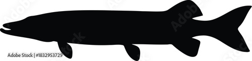 Black silhouette of a pike fish on white background