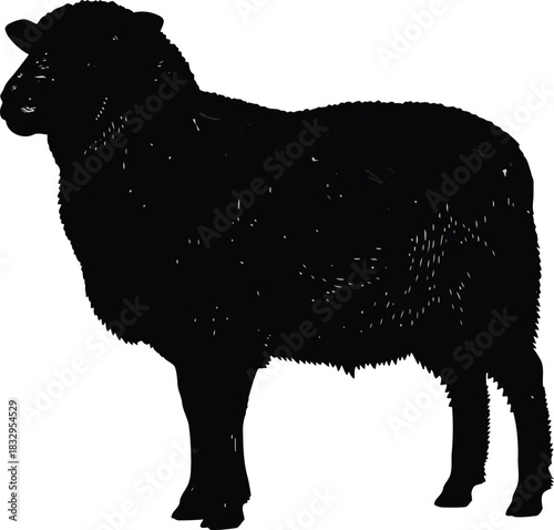 Black sheep silhouette profile view isolated