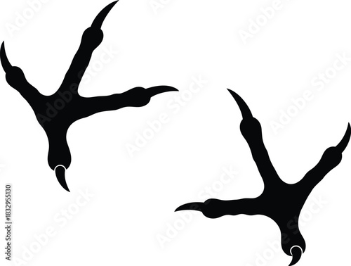 Bird footprints black silhouette vector