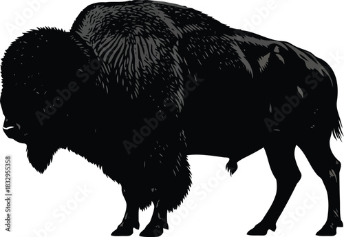 Black buffalo silhouette on white background