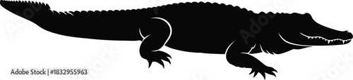 Black silhouette of an alligator on white background