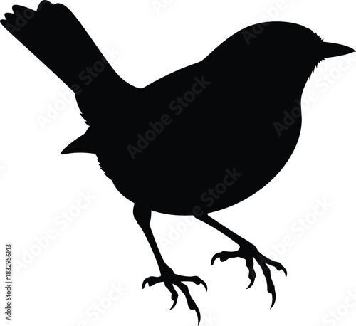 Silhouette of a small bird perched on white background