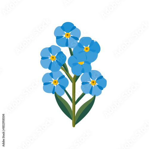 Attractive, Simple illustration with EPS format design of forget-me-not flower isolated on white and transparent background, Clipart set, Minimalist illustration