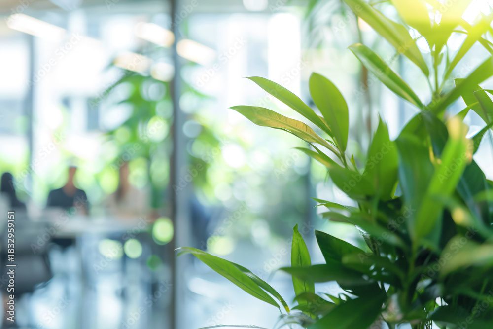 Naklejka premium a plant in a vase in a room