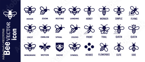 Set of bee vector icons isolated on white background, different bee concepts, flat style, logo