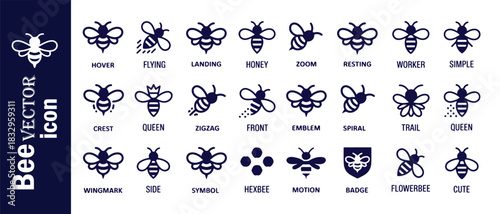 Bee vector icon set with various poses and styles illustration representing nature and wildlife