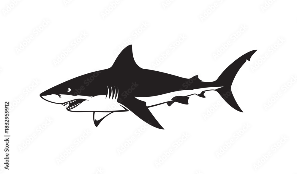 Naklejka premium Black and white illustration of a great white shark swimming