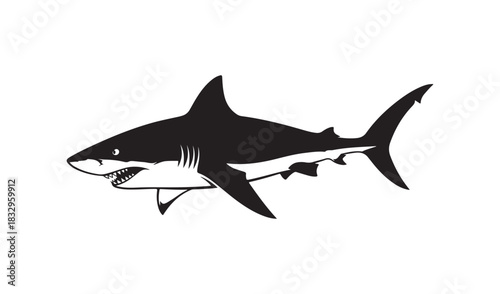 Black and white illustration of a great white shark swimming