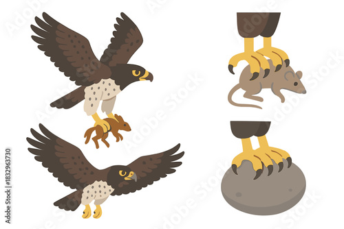 Birds of prey showcasing hunting skills with captured animals in a natural setting