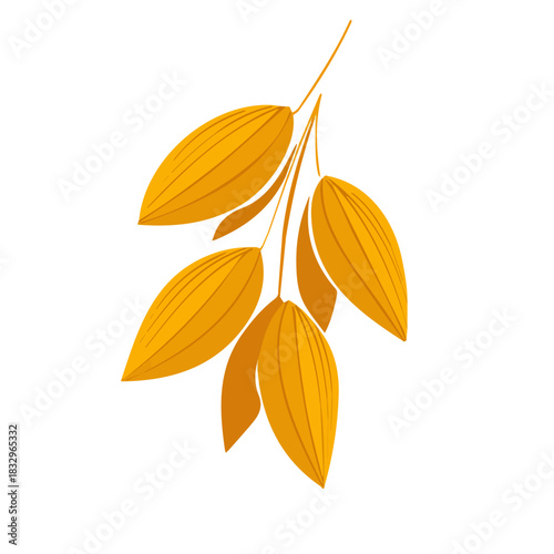 Minimalist illustration, An Attractive design, Simple illustration with EPS format design of a oat flake isolated on white and transparent background, Clipart set