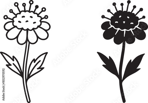 Set of two stylized flower icons, one outline drawing and one solid silhouette, featuring a central bloom with prominent stamens and simple leaves on a single stem, isolated on icon on